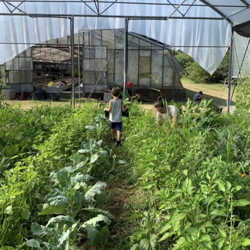 Screenshot 2026-04-18 alle 14.01.12